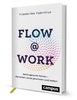 Buchtipp - Flow@Work: Wie man im Job zufrieden bleibt